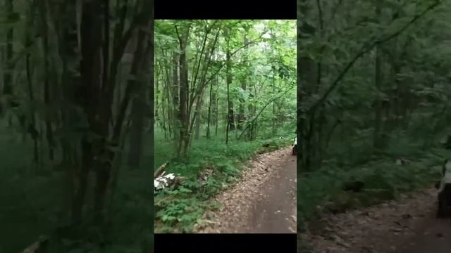 Накатали 76 км с Никитой #жизньвкайф #мото #покатушки #семья #эндуро #эндуропокатушки смотреть онлайн