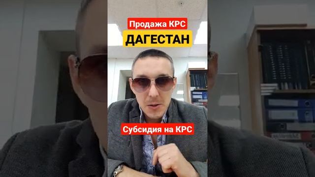 Дагестан продажа племенных нетелей. Продажа КРС оптом в республике Дагестан. #ПродажаКРС #КРС