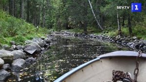 Соловецкие острова под Архангельском ежегодно посещают 20 000 туристов