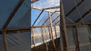 Плёнка Нева премиум 150мк.