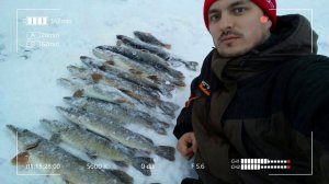 Флажки горели, мы бегали как лоси. Зимняя рыбалка на жерлицы. Иваньковское водохранилище