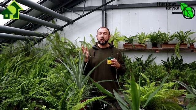 ПРЕВРАЩАЕМ ПЕСОК в ЧЕРНОЗЕМ! Как накормить растения без удобрений и чем заправлять грунт для рассад смотреть онлайн