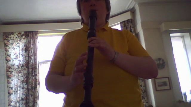 Julie J Bevan - Fields of Gold (Sting cover) on tenor recorder смотреть онлайн