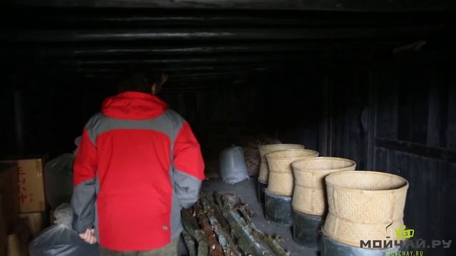 Заповедник Тунму: Родина красного чая Чжэнь Шань Сяо Чжун. смотреть онлайн