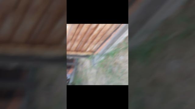 зомби опокалипсес
