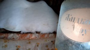 Покинутый мир Вятки. Оричевский район деревня Пустая Кировская область.