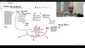 Что такое бустрофедон? Душкин объяснит