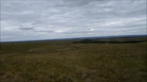 Вы шумите берёзы.  ВИА Песняры