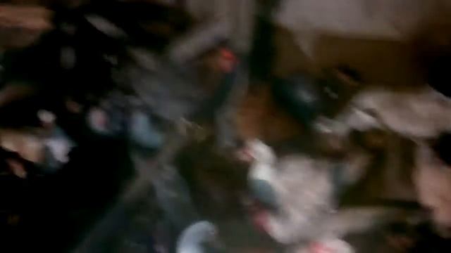 МУСКУСНЫЕ УТКИ, когда начинают НЕСТИСЬ ВСЕХ С НОВЫМ ГОДОМ смотреть онлайн