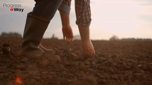 Смешал доломитку и борную кислоту! Получилось мощнейшее в истории осенние удобрение!