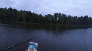 Ищем карпа на эхолот практик 7