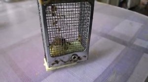 особенности формирования безрасплодных отводков пчел на пасеке