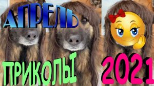 ПРИКОЛЫ 2021 САМЫЕ НОВЫЕ!!!!СМОТРЕТЬ ПРИКОЛЫ 2021!!!#11.mp4