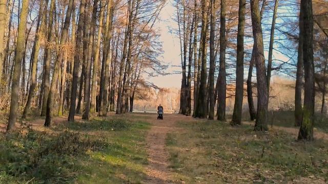 AUTUMN - RELAXING WALK IN MOSCOW PARK // ОСЕНЬ - РАССЛАБЛЯЮЩАЯ ПРОГУЛКА ПО МОСКОВСКОМУ ПАРКУ смотреть онлайн