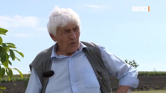 Ореховое Будущее Приднестровья. Как Вырастить Самый Ценный Орех. 6 Соток. 05 09 2022
