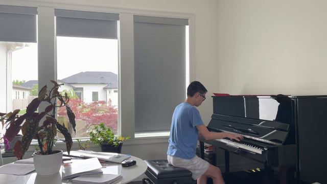 Servants of Scourge[Calamity Mod Ost] - Piano смотреть онлайн