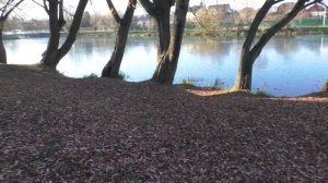 общественное пространство в Бронницах  Река Кожурновка