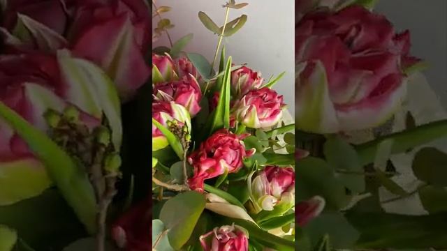 Тюльпаны #купитьтюльпаны #подаркиворонеж #тюльпаны