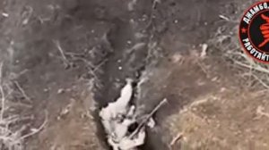 Тарасик отъехал в царство бандеры и мазепы