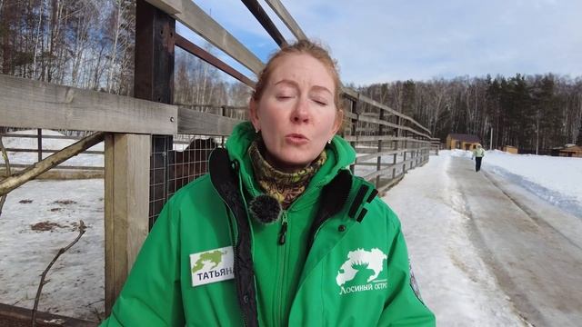 Почему нельзя кормить диких животных смотреть онлайн