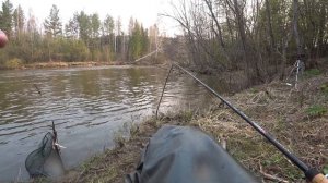 Душевная утренняя рыбалка на малой реке! Рыбалка на фидер! Рыбалка для души!