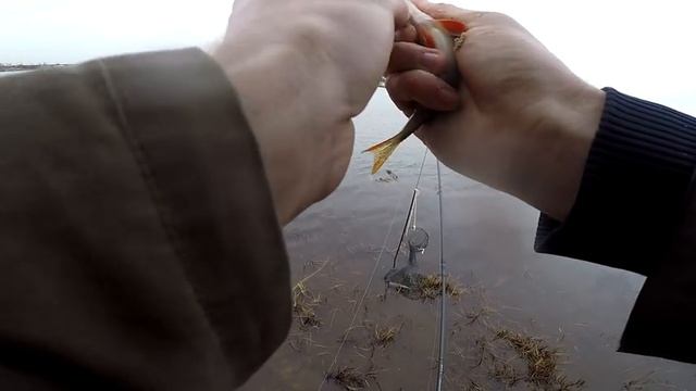 Рыбалка на фидер (открытие сезона).Обводной канал КВХ. Фидер ловля. смотреть онлайн