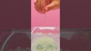 ИДЕИ ПОДЕЛОК ИЗ ПОЛИМЕРНОЙ ГЛИНЫ, КОТОРЫЕ СМОЖЕТ ПОПРОБОВАТЬ КАЖДЫЙ