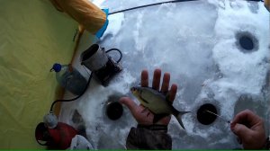 Первая зимняя рыбалка сезона