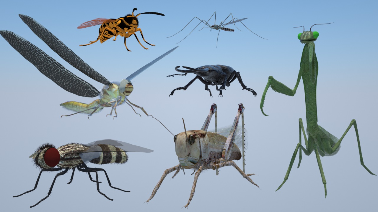 Развивающие мультфильм для детей.Обучающие.Насекомые для малышей смотреть онлайн