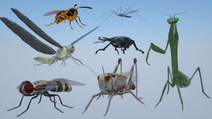 Развивающие мультфильм для детей.Обучающие.Насекомые для малышей