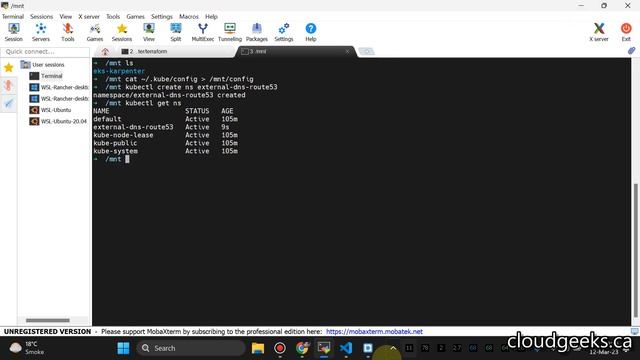 Master DevOps: Terraform AWS EKS, Kubernetes Ingress, Automated DNS Entries in Route53
