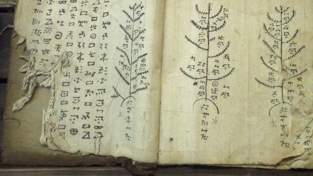 КТО ТАКИЕ УЙГУРЫ???