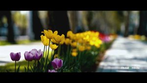 Махфират Хамрокулова Гулхои Душанбе 2019