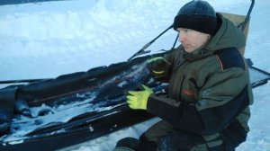 Сани - огонь! Обзор моих снегоходных саней.