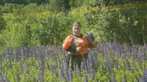 Мой дом родной - Ансамбль Гуляночка