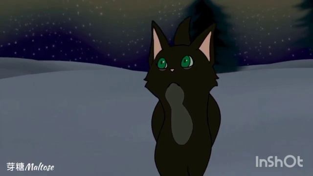 Топ 5 плохих отцов в котах-воителях(много субьективного мнения) смотреть онлайн