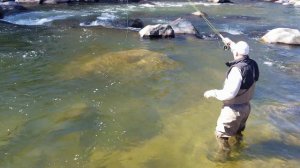 Lower Kern River Fly Fishing Report February 11, 2020