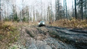 10 минут чистого OFFROAD SUBARU FORESTER