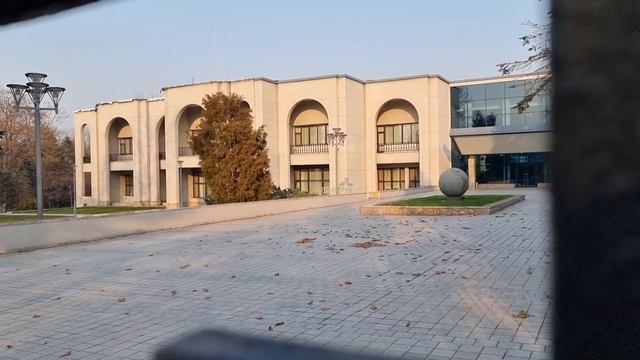 Идея аллеи красных кленов во ВЛАДИВОСТОКЕ для привлечения туристов #блогвладивосток