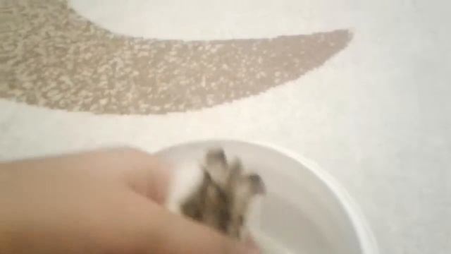 Купаем хомячка смотреть онлайн