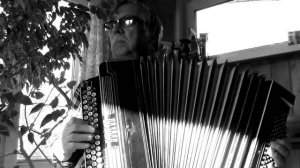 Ребята с нашего двора (Любэ)_на баяне
