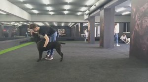 Кане-Корсо готовится к выставке в новом зале