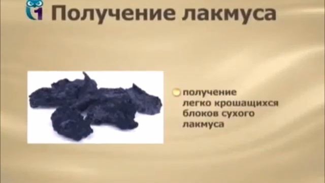 Лакмус смотреть онлайн