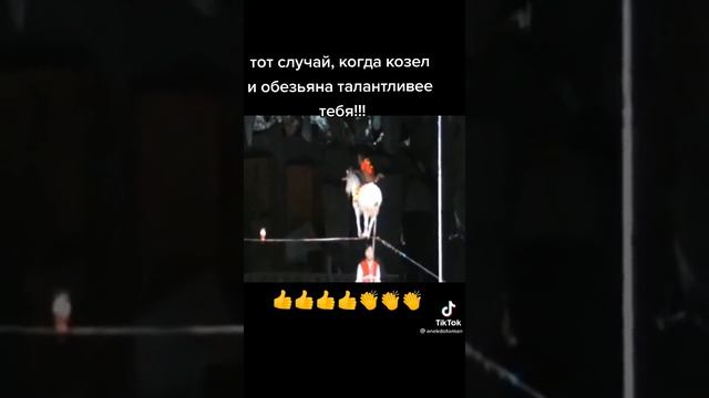 акробаты
