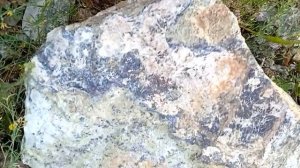 Камень ЗМЕЕВИК из Аккермановки