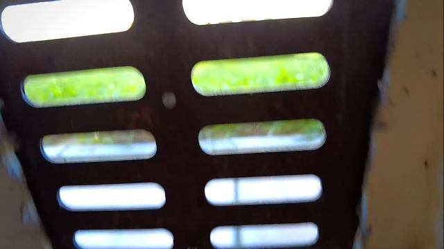 Как утеплить пол снизу дома? Инструкция по утеплению пола из поддомного пространства, из подвала. смотреть онлайн