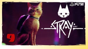 Прохождение Stray (PS5) - Часть 9