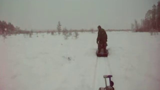 по болоту на собаке смотреть онлайн