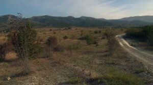 Ралли Предгорья Кавказа 2014   LADA Kalina RC Team