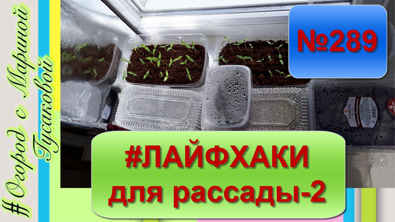 лайфхаки для семян лайфхаки для семян